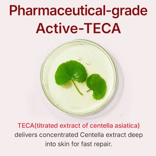 Anti-Aging Moisturizer with TECA & Hyaluronic Acid | Korean Skincare 1.69 fl.oz
