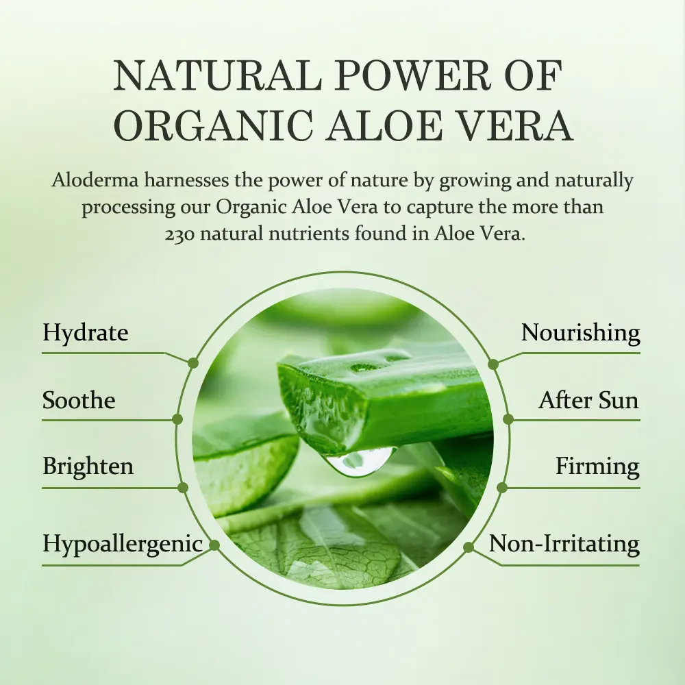 ALODERMA Pure Aloe Vera Gel 96% Organic – Face, Body, Hair & Scalp | 7.05oz
