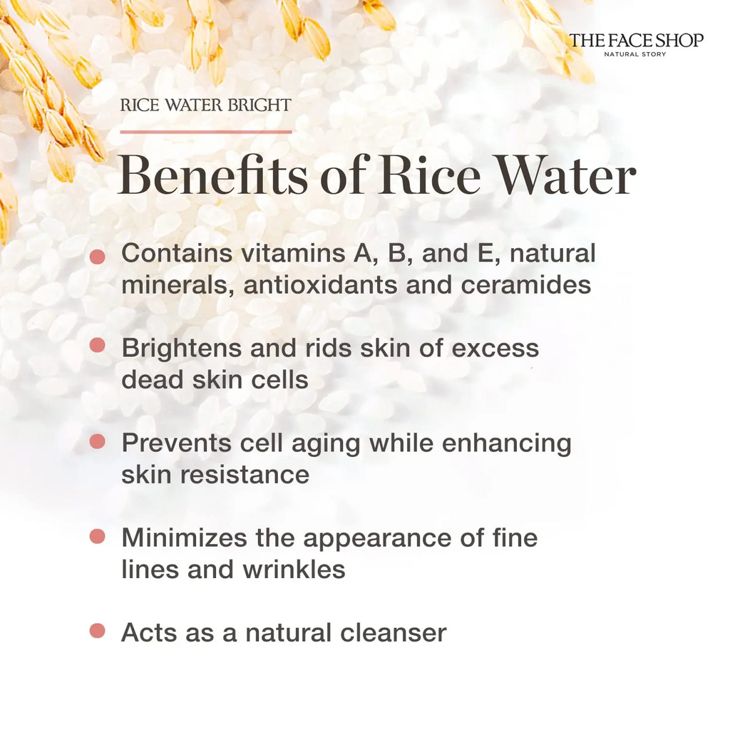The Face Shop Rice Ceramide Moisturizing Cream | Rice Extract & Rice Bran Oil, Brightening & Hydrating, 50ml